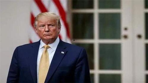 特朗普最新家族爆料图鉴,揭秘权力背后的家族秘密  第1张